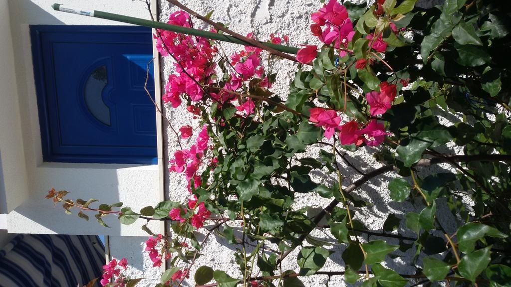 Apartment L.A. Tivat Kültér fotó